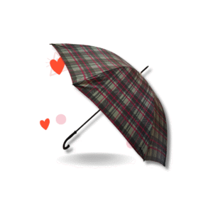 PARAGUAS NEGRO/PLATA